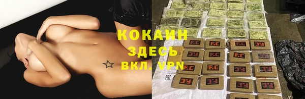 ГАЛЛЮЦИНОГЕННЫЕ ГРИБЫ Арсеньев