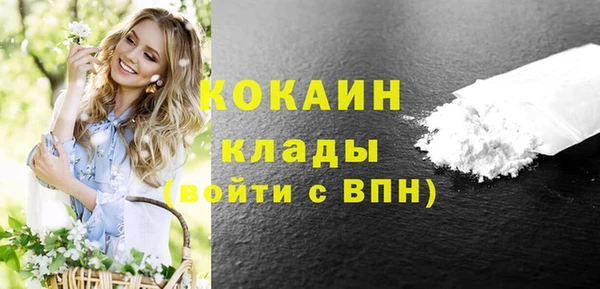 ГАЛЛЮЦИНОГЕННЫЕ ГРИБЫ Арсеньев