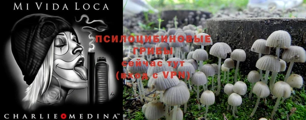 бутират Алексин
