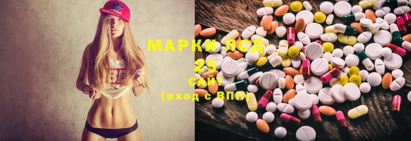 PSILOCYBIN Нея
