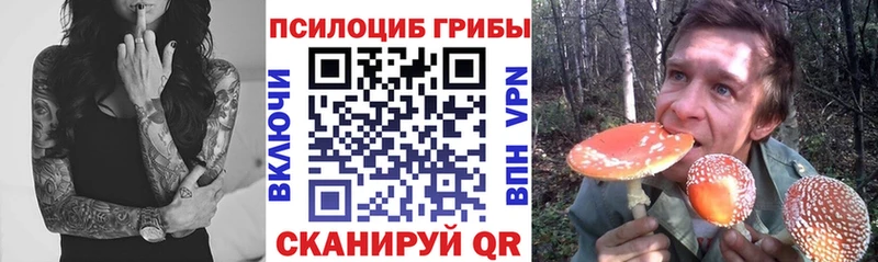 mega ONION  магазин продажи наркотиков  Волгодонск  маркетплейс Telegram  Псилоцибиновые грибы прущие грибы 